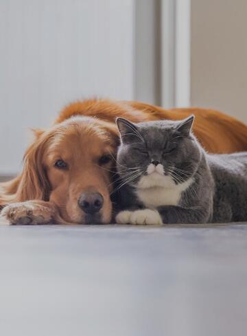 Prodotti per Animali