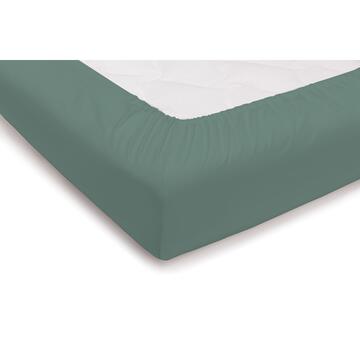 Topper 1 Piazza Lenzuolo Sotto con Angoli Dream Family Verde 100% Cotone Made in Italy 90x200+30cm