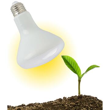 Lampada LED per piante 12W
