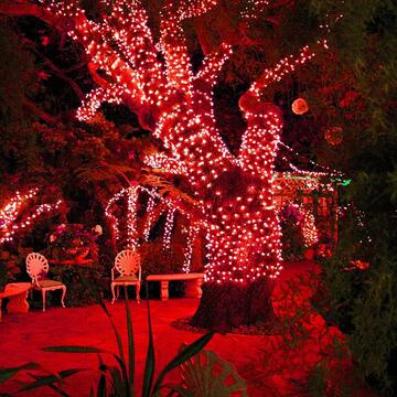 100 Luci Led Rossi di Natale - mt 5+5 cavo - per Interno... - Marino fa Mercato