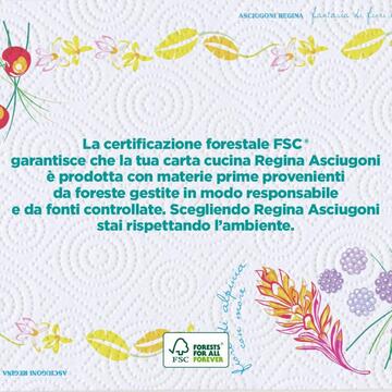 Regina Asciugoni Maxi Rotoli x2 - Carta Assorbente da 300 Fogli