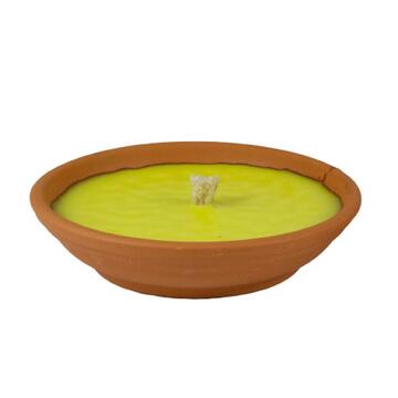 Citronella in ciotola terracotta Zanzarillo 15 cm Marino fa Mercato