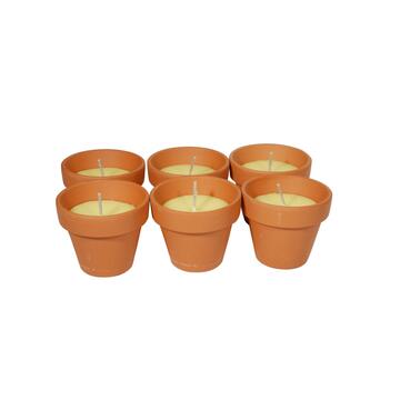 6 vasetti in terracotta di citronella antizanzare Marino fa Mercato