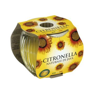 Candela citronella naturale di Java in bicchiere di vetro Maiorca 120gr