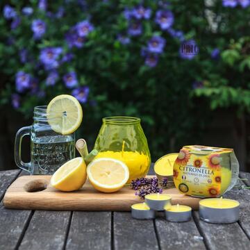 Candela citronella naturale di Java in bicchiere di vetro Maiorca 120gr