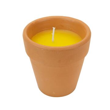 Candela alla citronella in vasetto di terracotta 110gr Marino fa Mercato