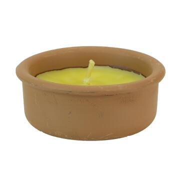 Citronella Zanzarillo ciotola di terracotta 9 cm - Marino fa Mercato