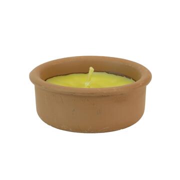 Citronella Zanzarillo ciotola di terracotta 9 cm - Marino fa Mercato