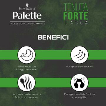 Palette lacca professionale tenuta forte 48h 300 ML