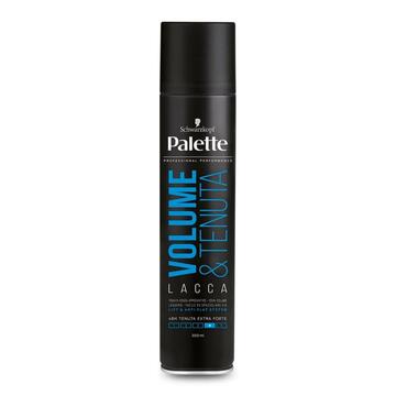 Palette lacca professionale volume e tenuta forte 48h 300 ML