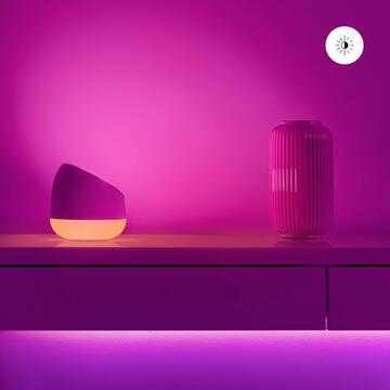 WiZ Lampada da Tavolo Portatile Squire Smart, WiFi,... - Marino fa Mercato