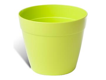 Coprivaso tondo 12 cm Verde