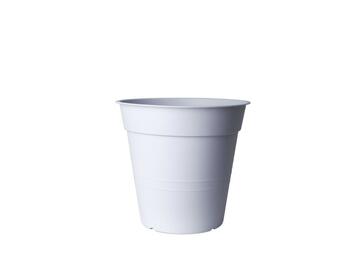 Vaso Fly 20 cm ghiaccio - Marino fa Mercato