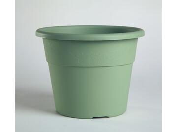 Vaso Hedera 20 verde - Marino fa Mercato