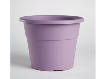 Vaso Hedera 20 lilla - Marino fa Mercato