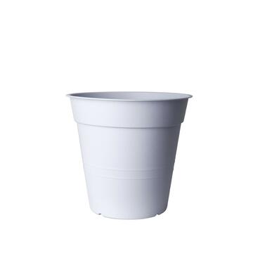 Vaso Fly 15 cm ghiaccio Marino fa Mercato