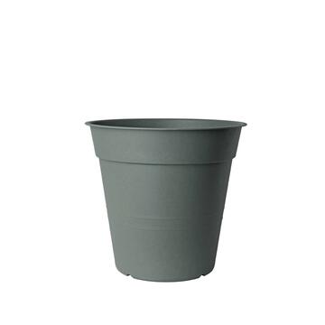 Vaso Fly 15 cm oliva Marino fa Mercato