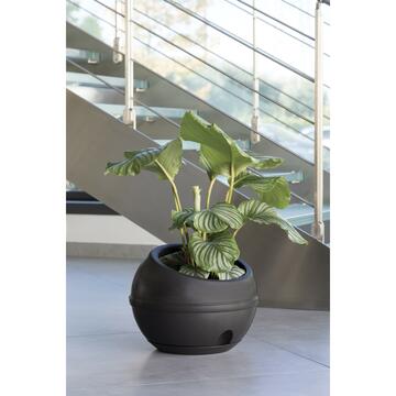 Vaso moderno per piante a sfera antracite