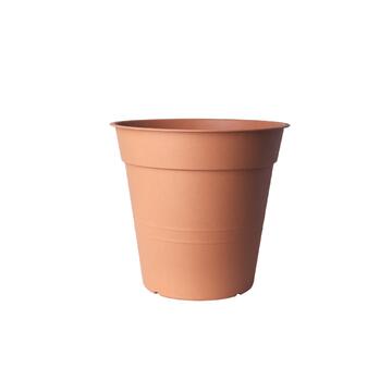 Vaso Fly 10cm diametro Cotto Chiaro - Marino fa Mercato