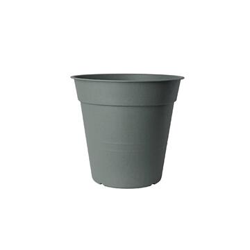 Vaso Fly 10cm diametro Oliva - Marino fa Mercato