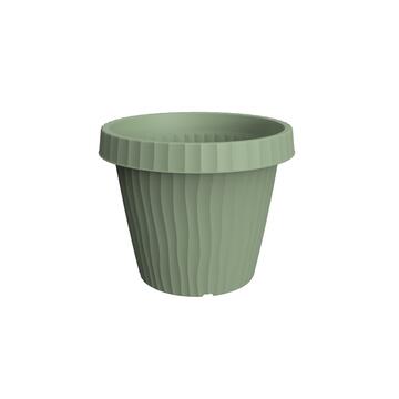 Vaso Onda 20cm diametro Salvia Marino fa Mercato