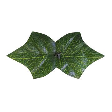 Recinzione con Foglie Edera Artificiali 300x100 cm... - Marino Fa Mercato