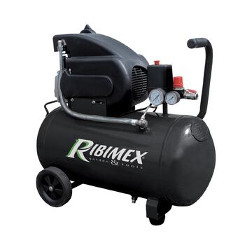 Compressore 24L Ribimex 220W - Marino fa Mercato