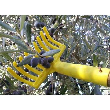 Rastrellino/Manina per Raccolta Olive - Pettine a 9... - Marino fa Mercato