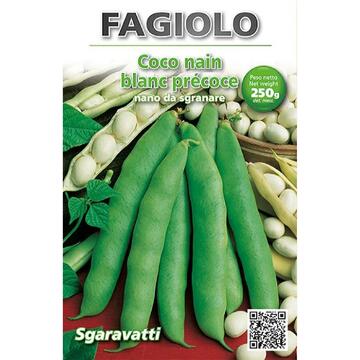 Fagiolo Coco Nain Blanc 250gr Sgaravatti - Marino fa Mercato