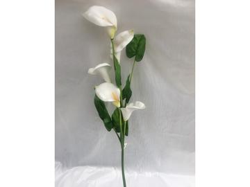 Calla 5 fiori bianchi - Marino fa Mercato