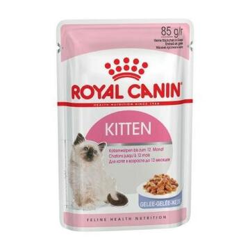 Kitten Jelly Cat Royal Canin Buste gr85 - Marino fa Mercato
