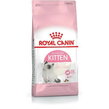 ROYAL 2 KG KITTEN 36 - Marino fa Mercato