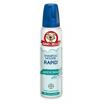 BAYER SHAMPOO RAPID, MUSCHIO BIANCO
