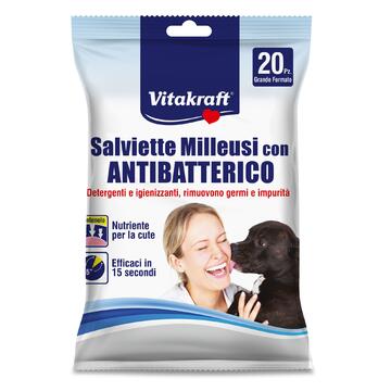 Salviette antibatteriche 20 PZ