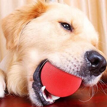Palla 5 cm per Cane e Animali Domestici - Gioco Interattivo - Formazione Dentale