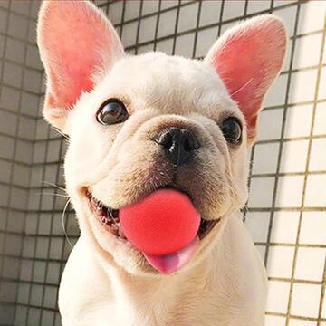 Palla 7 cm per Cane e Animali Domestici - Gioco Interattivo... - Marino fa Mercato